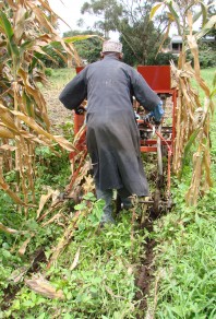 Two-wheel tractor in action at inception workshop. Photo: CIMMYT