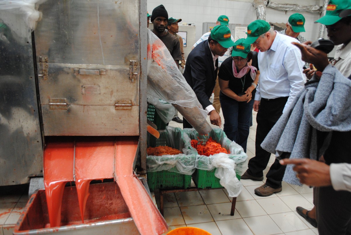 PArticipants from workshop view post harvest tomato production. Credit F. Wyborn AIFSRC