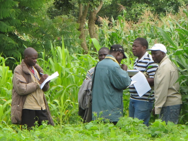 Farmers and researchers involved in the SIMLESA project, Mozambique. Photo credit M Gyles, ACIAR