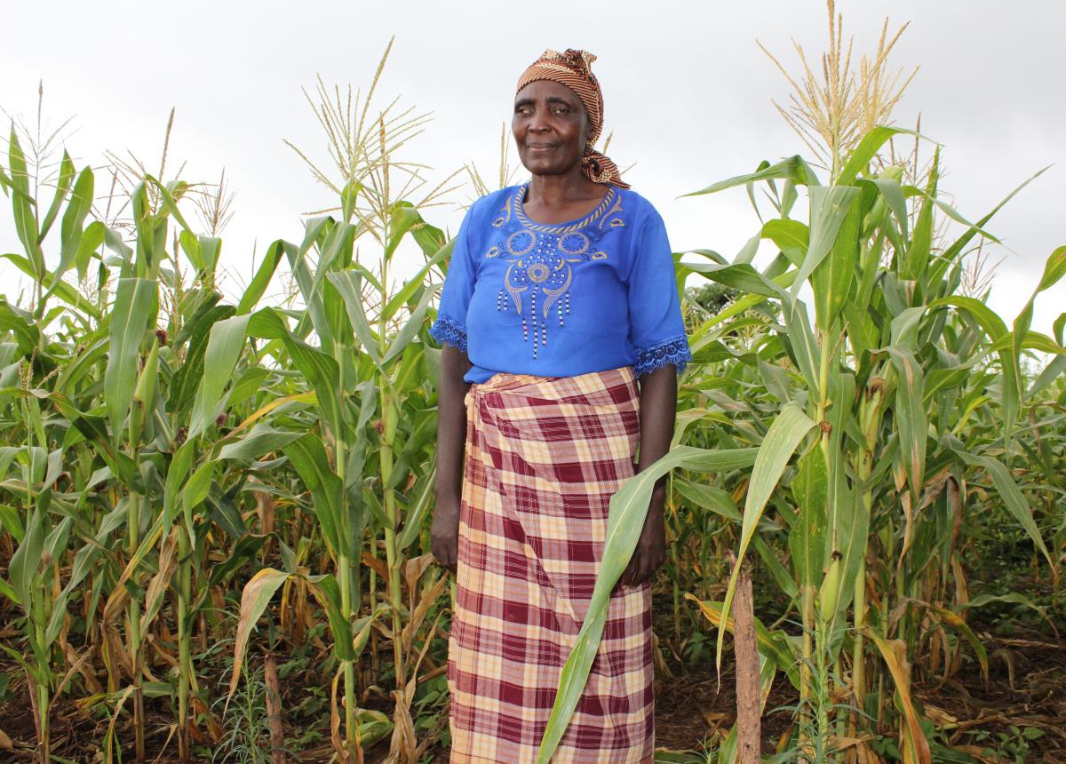 Mozambican farmer in her maize plot (SIMLESA site), Photo Credit Liz Ogutu, AIFSC