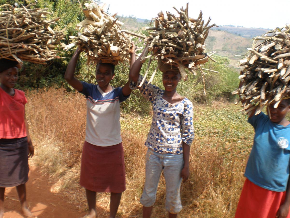 Girls carrying firewood in Bugesera. Photo credit Catherine Muthuri ICRAF