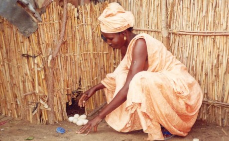 Woman collecting eggs