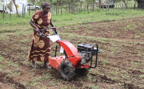 Woman using two wheeled tractor
