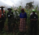 A woman farmer telling researchers about her maize crop during an Adoption Pathways field visit. Photo credit: L Ogutu AIFSRC