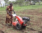 Female farmer using a two-wheeled tractor (photo credit L Ogutu, AIFSRC)