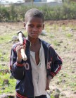 Boy in a field, Ethiopia. Photo credit Many Gyles ACIAR
