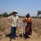 People standing next to a sign identifying a farm practising conservation agriculture, Malawi. (Photo: M Gyles ACIAR)