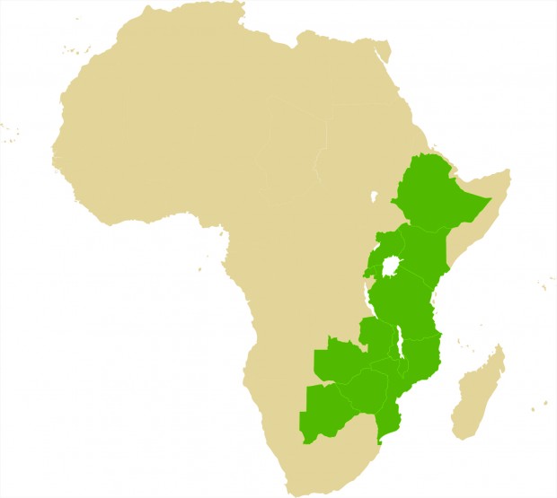 Botswana, Ethiopia, Kenya, Malawi, Mozambique, Tanzania, Uganda, Zambia and Zimbabwe