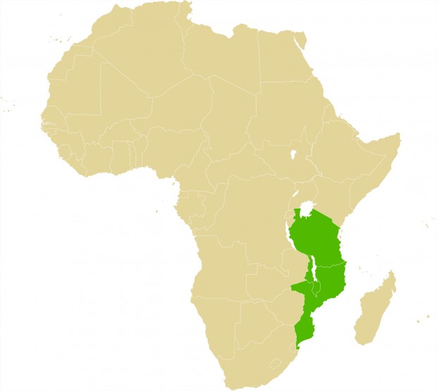 Malawi, Mozambique and Tanzania