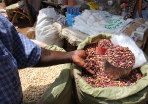 The study is testing scenarios that affect prices for comodities such as beans, Embu, Kenya. (Photo: M Gyles ACIAR)