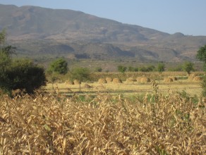 Farming in Ethiopia, (Photo: J Dixon ACIAR)
